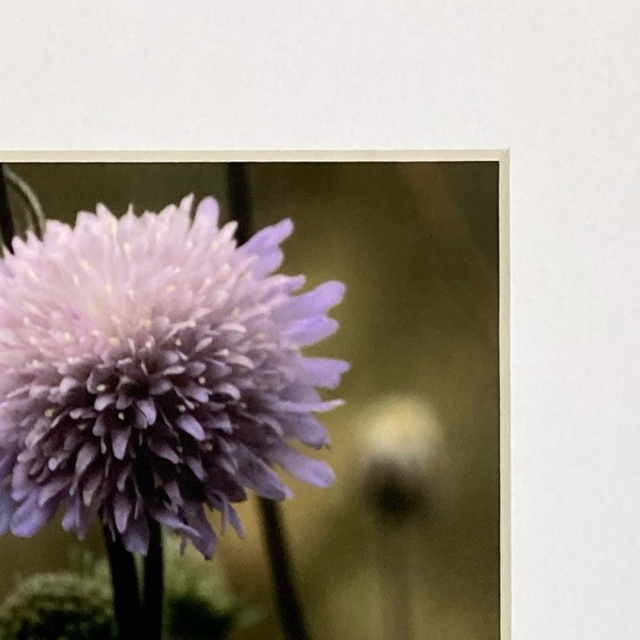 “TALL, DARK & HANDSOME” ~ ORIGINAL ART by ~ @lisamichellebeckerphotography - Picture 3 of 13